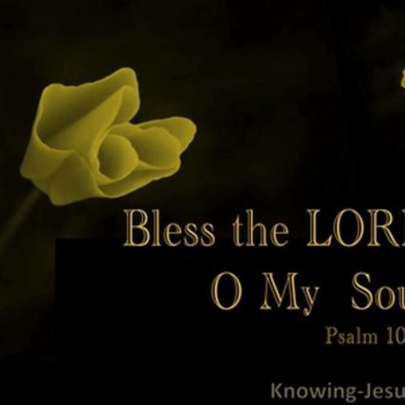 Spirit Alive Praise And Worship: Apostle Zada Flowers: Keep Your Faith episode artwork