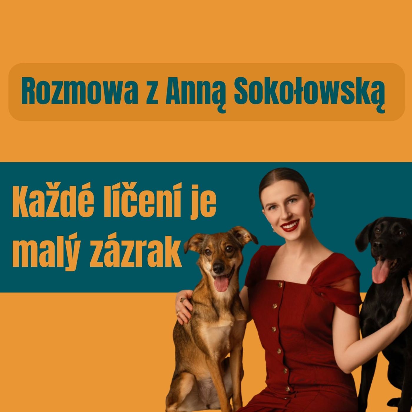 186: Každé líčení je malý zázrak czyli rozmowa z Anną Sokołowską episode artwork