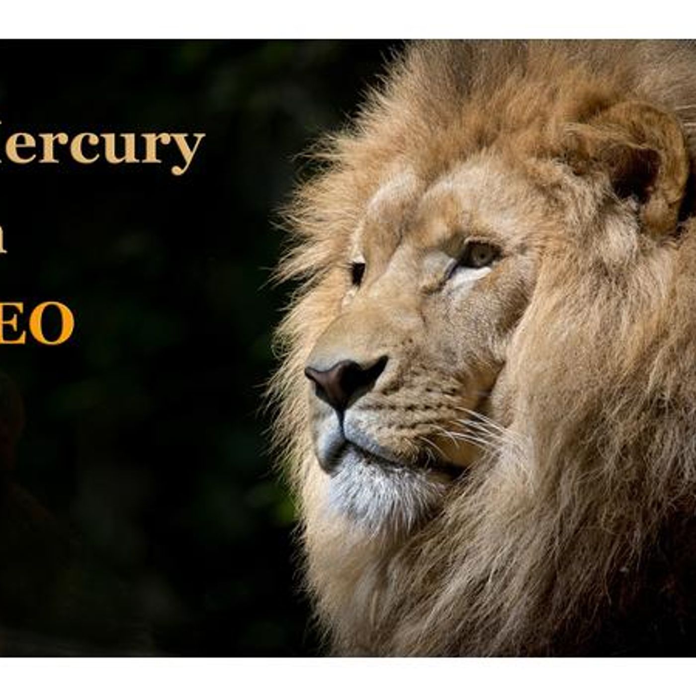 The Zoe Moon Astrology ACTIVE MERCURY Weekly Show episode artwork