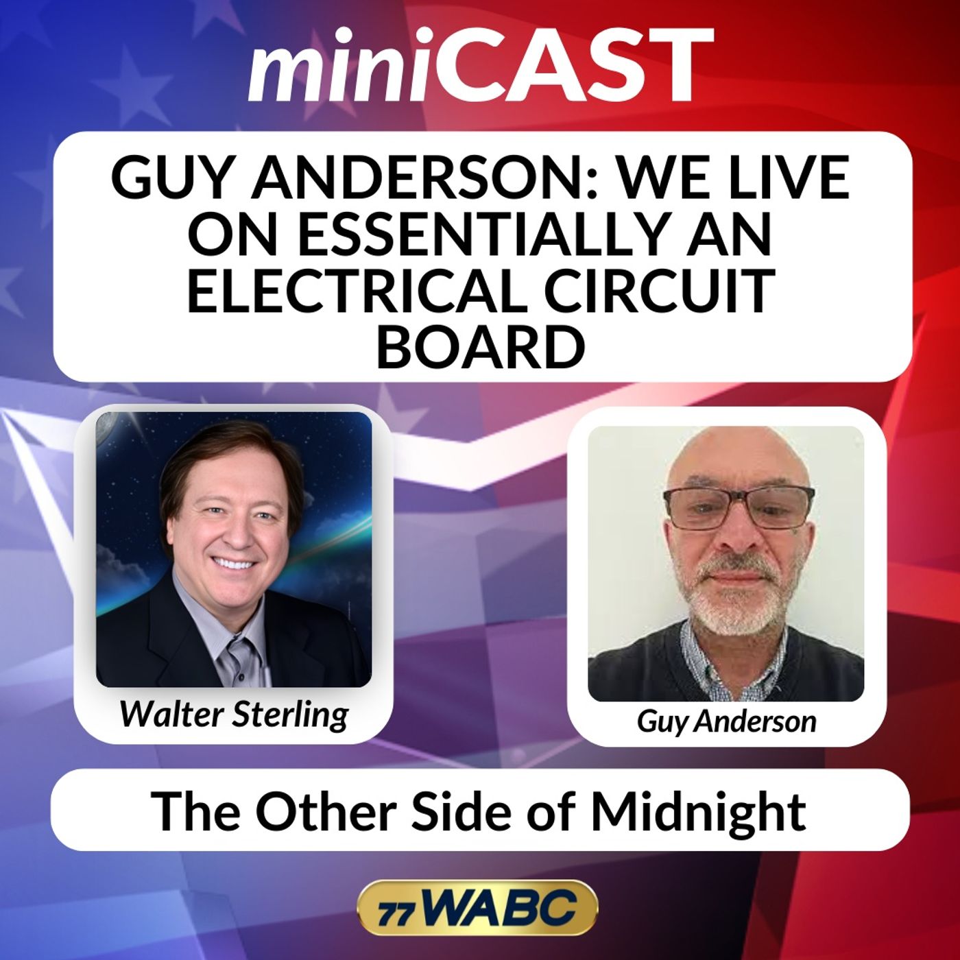 Guy Anderson: We Live On Essentially An Electrical Circuit Board episode artwork