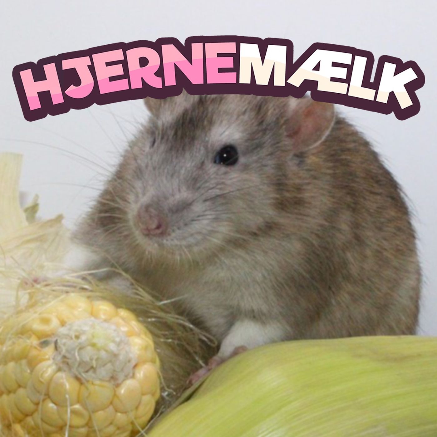 Hjernemælk
