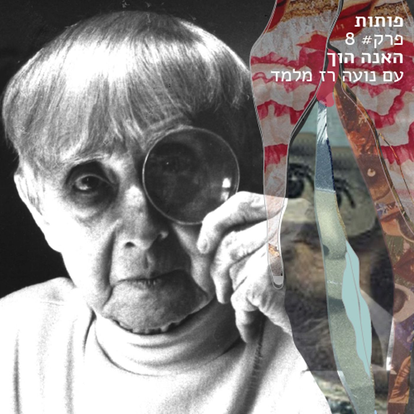 פרק # 8 האנה הוך עם נועה רז מלמד