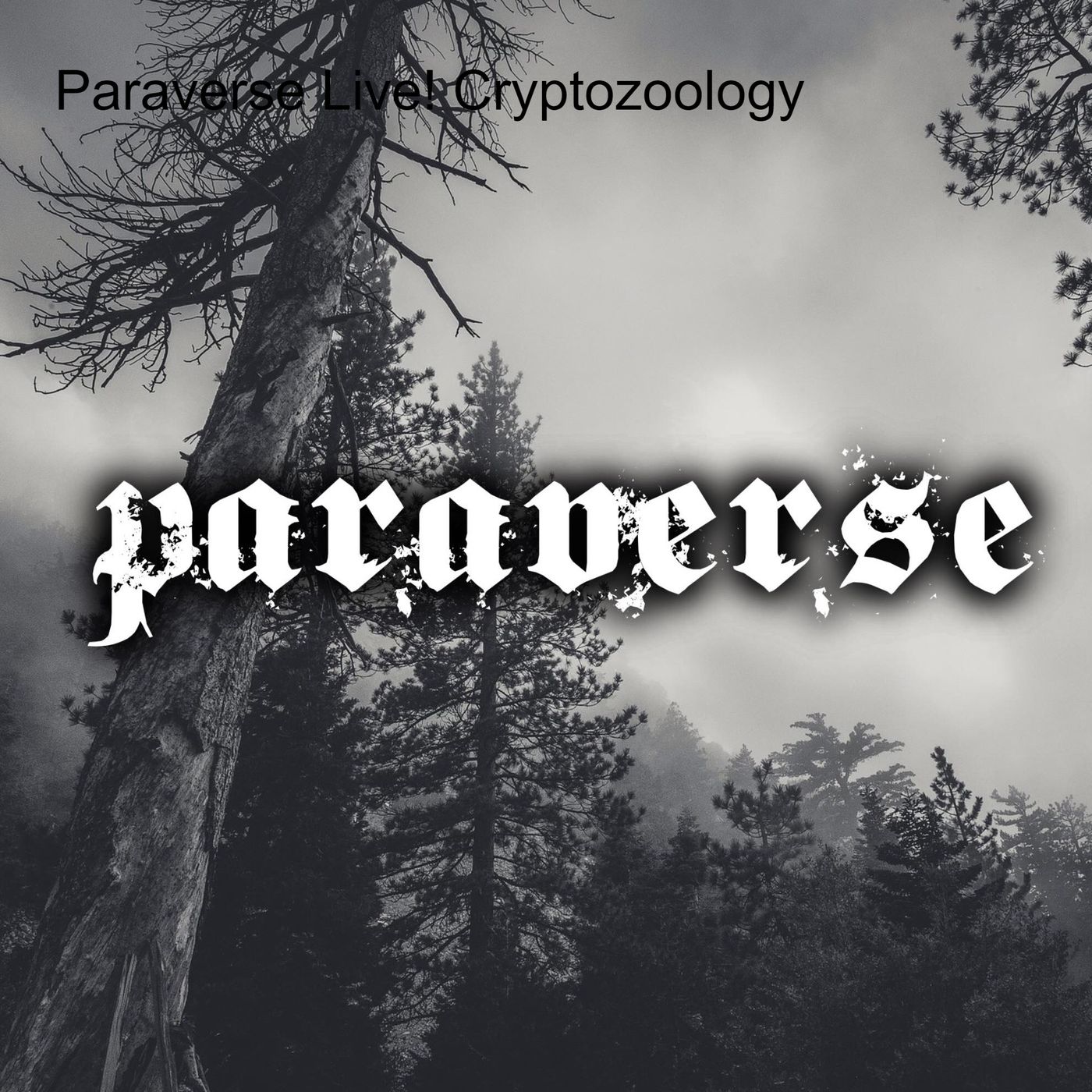 Paraverse - Live show and podcast series