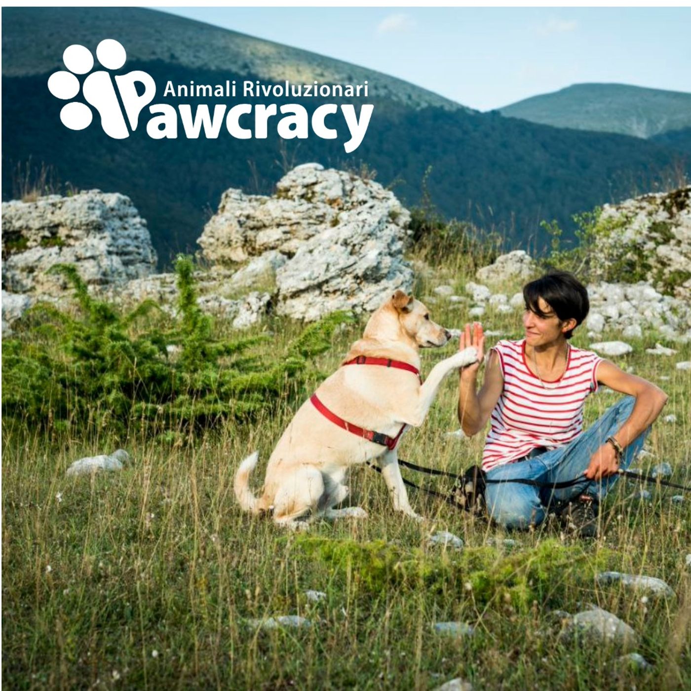 PAWCRACY: Animali Rivoluzionari