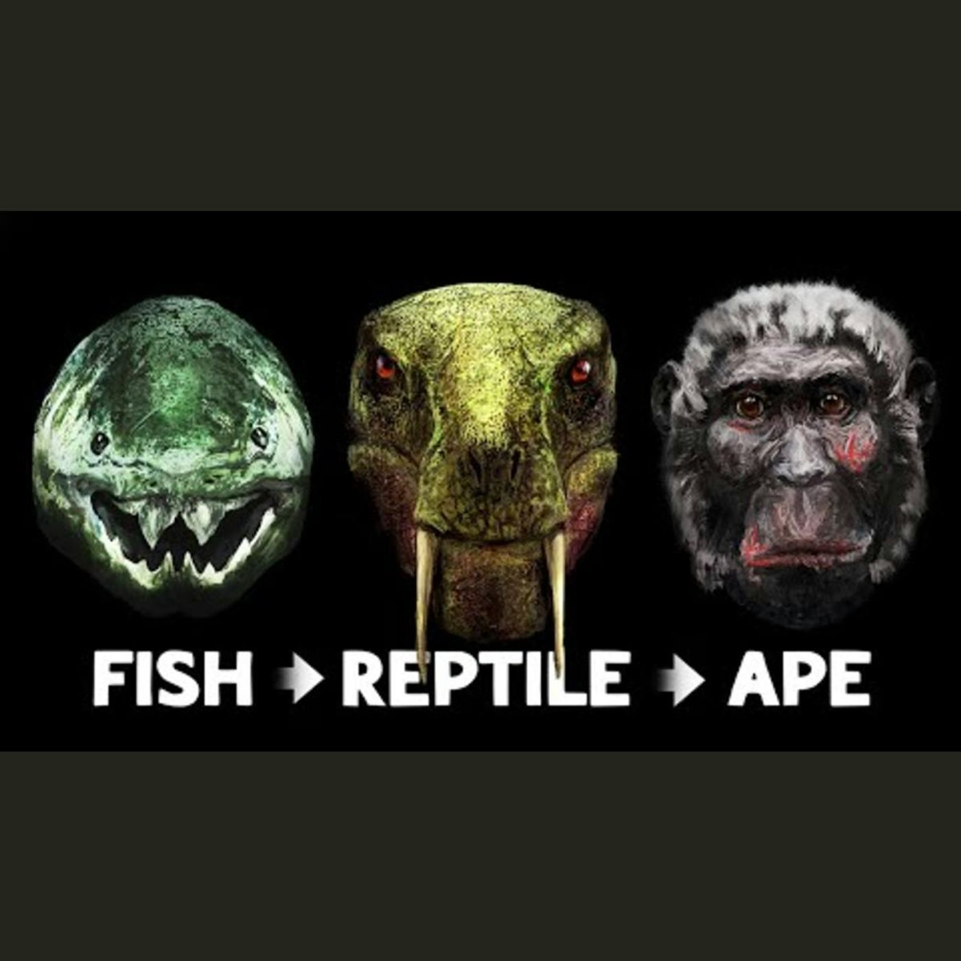 The Evolution of the Human Face episode artwork