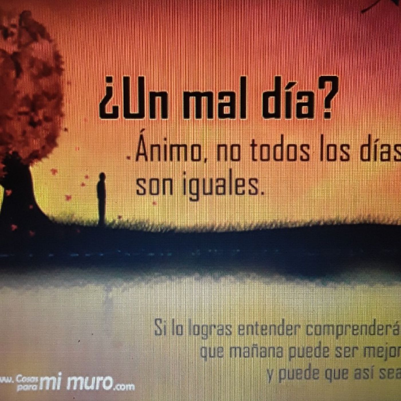 Reflexiones De Restauracion Para Tu Alma