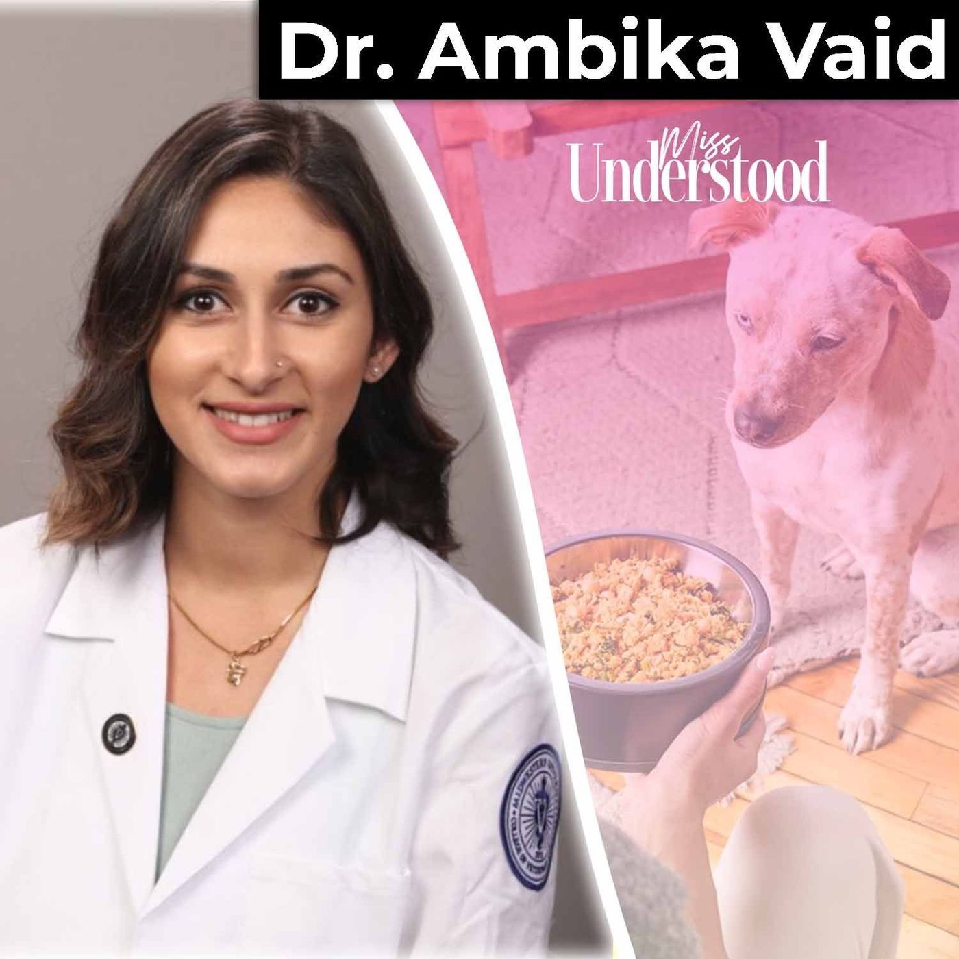 How to Help Your Pets Live Longer with Dr. Ambika Vaid-Sidhu