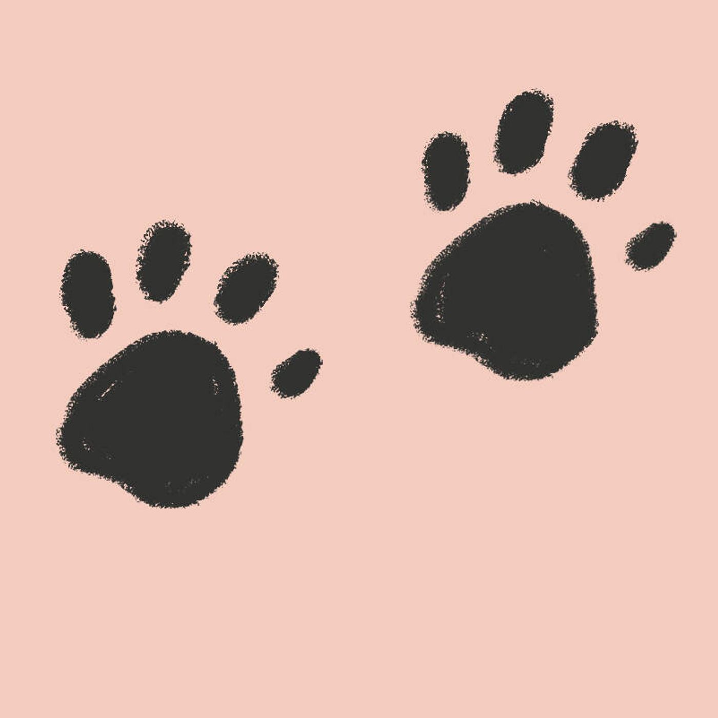 Your Guide To Adopting A Dog During The Coronavirus Pandemic episode artwork