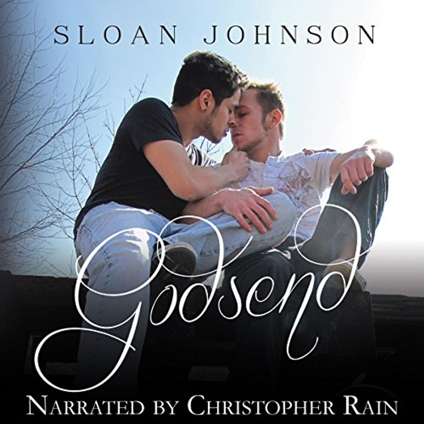 Discover Most Popular Audiobooks in Fiction, Gay & Lesbian