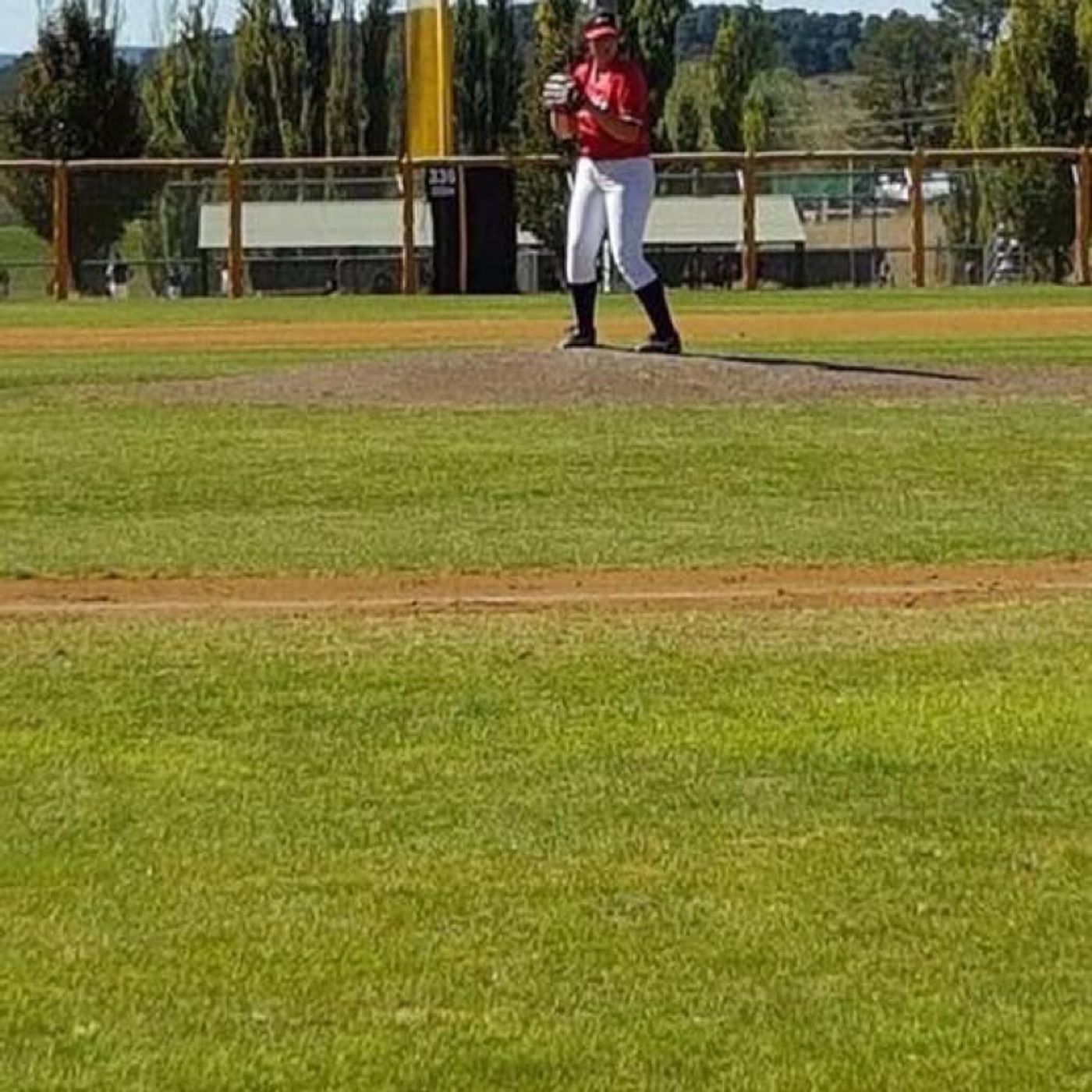 Ladywhips Baseball