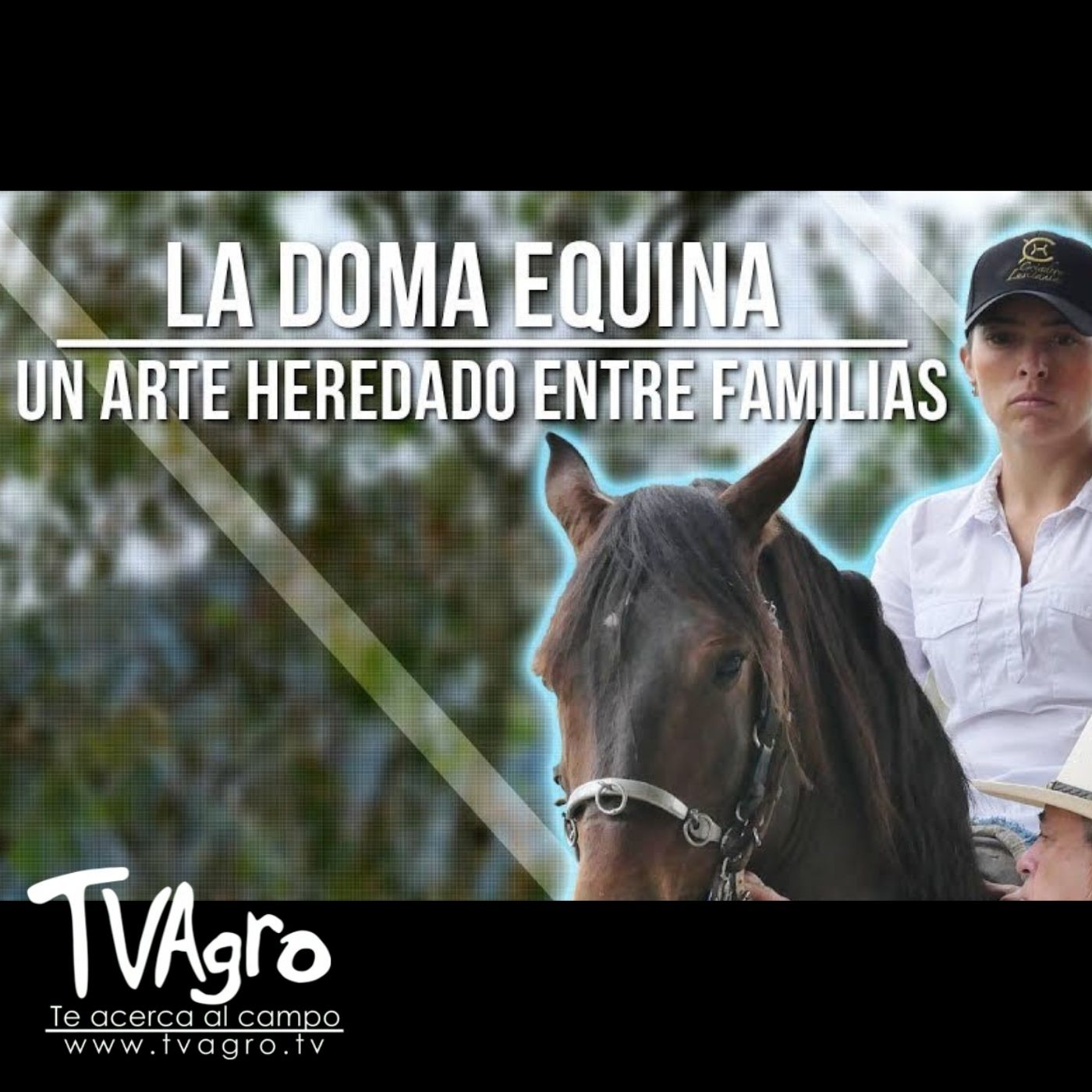 TV AGRO