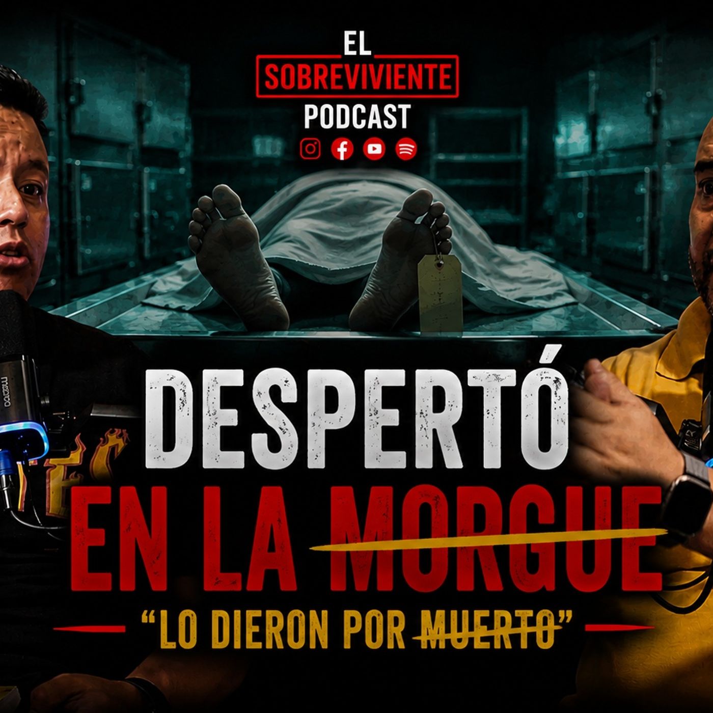 Despertó en la Bolsa de la Morgue,
