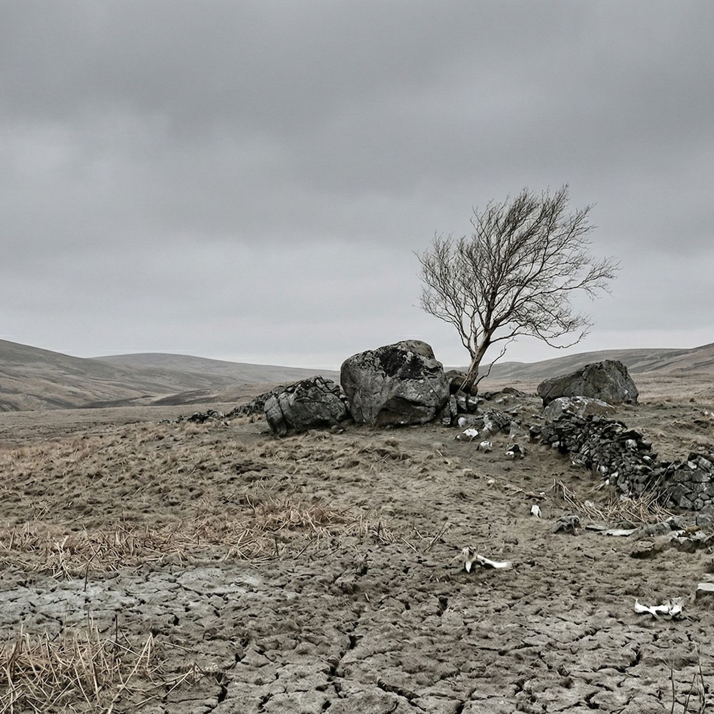 What We Were Willing to Pass On