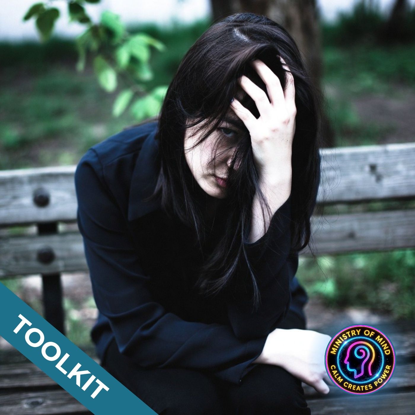 Toolkit | Emotional Regulation