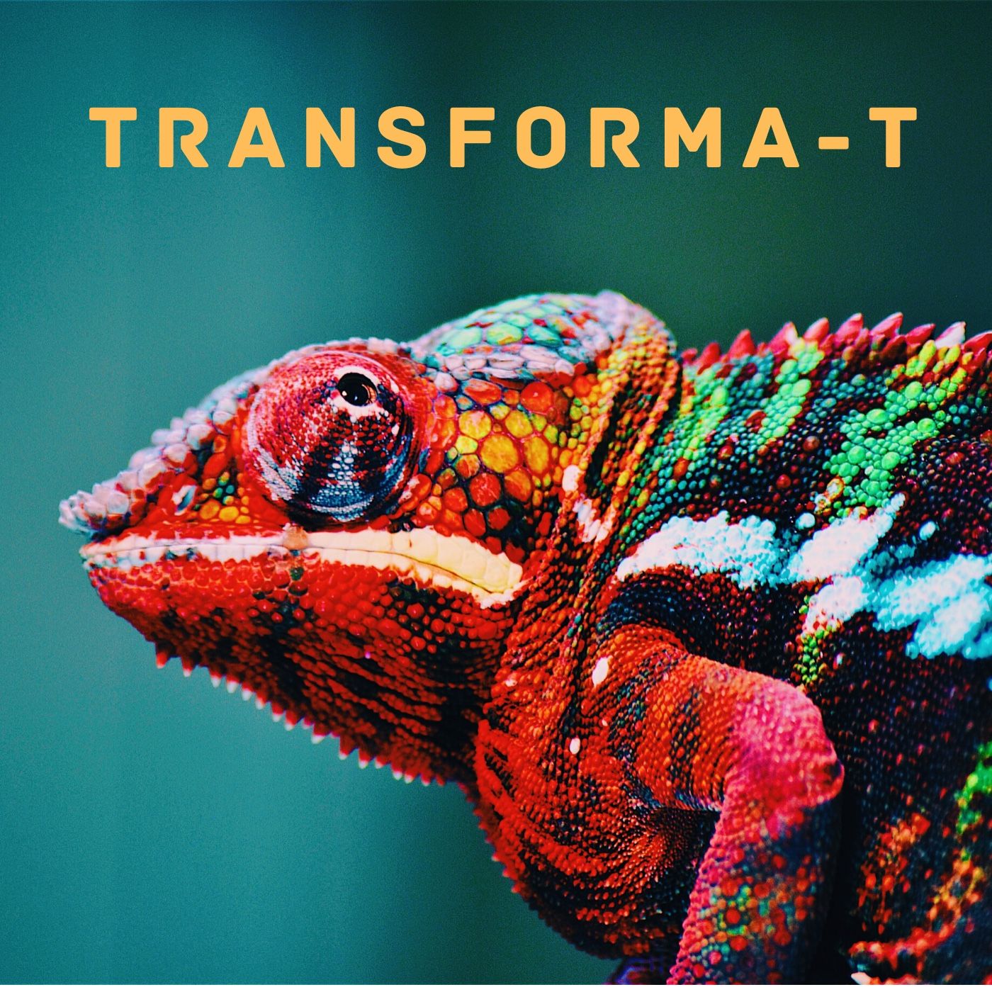 Transforma-T