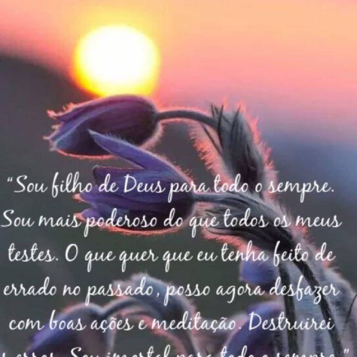 Dois Minutos de Paz #T1Ep1