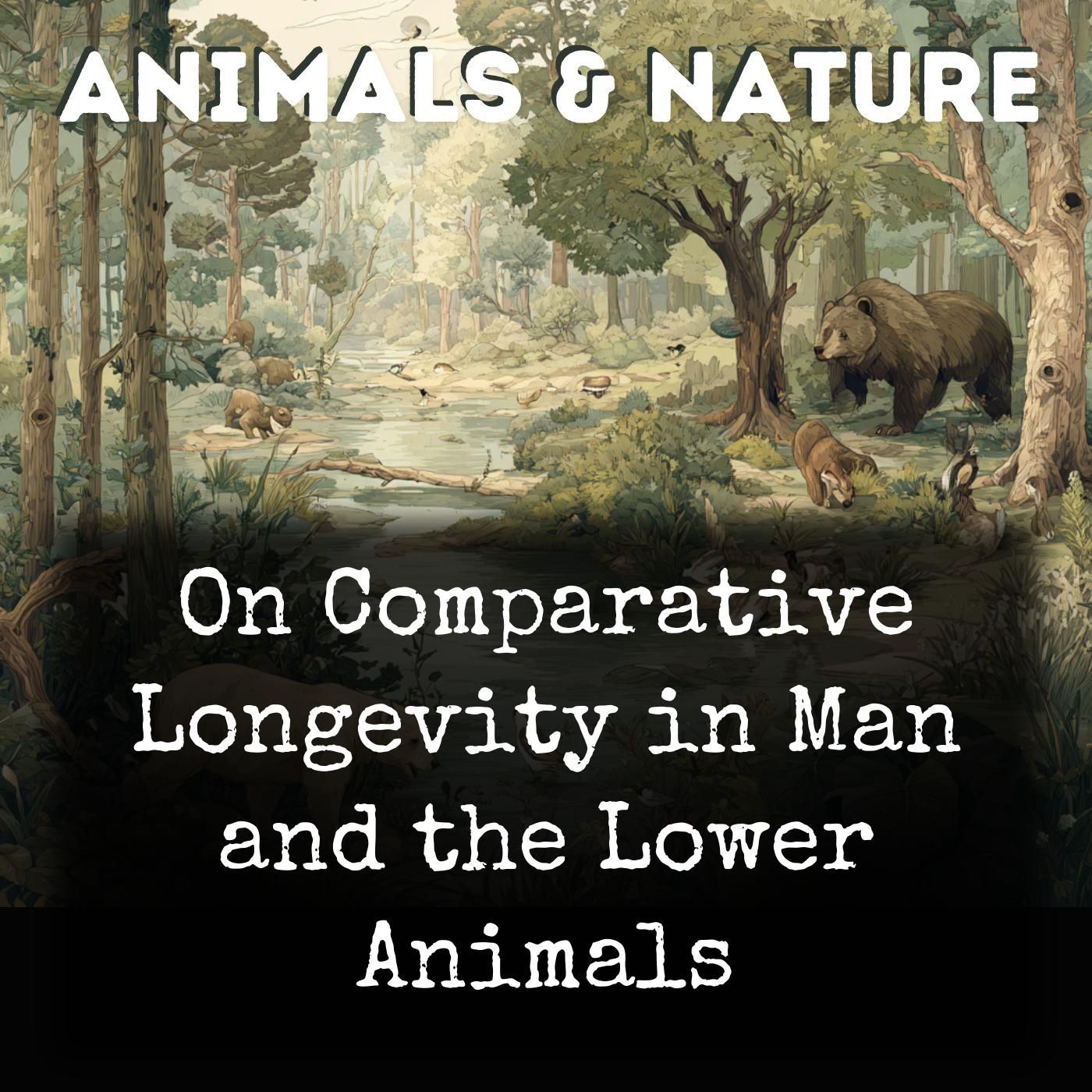 On Comparative Longevity in Man and the Lower Animals cover art