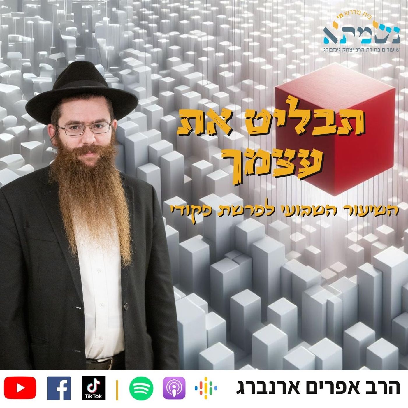 תבליט את עצמך | קדושת לוי פרשת פקודי | הרב אפרים ארנברג