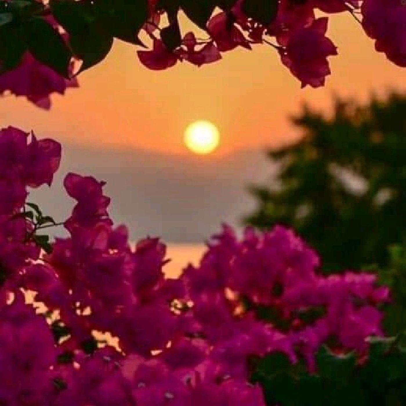 Meditazioni guidate