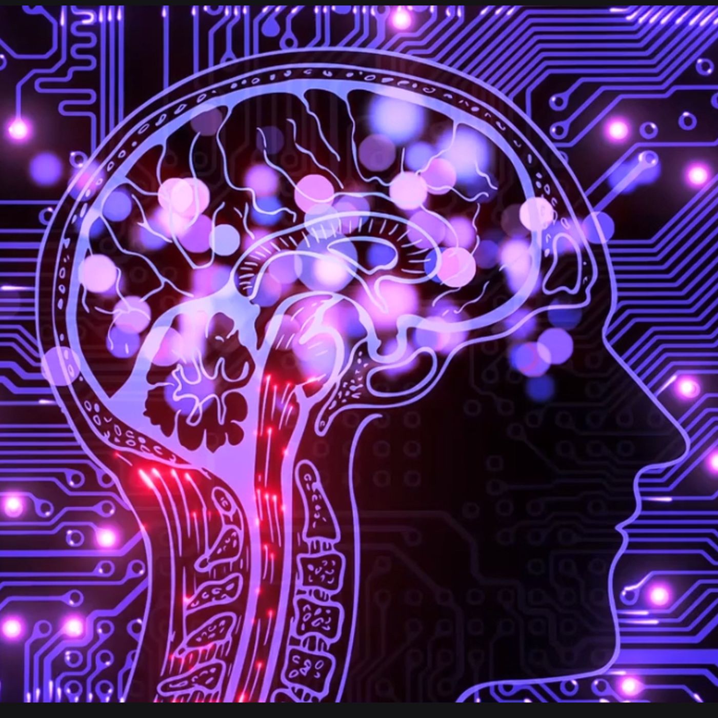 S64E7: It's World Of Electrical Impulses - Trevor Gear On The Awesomeness Of The Human Brain