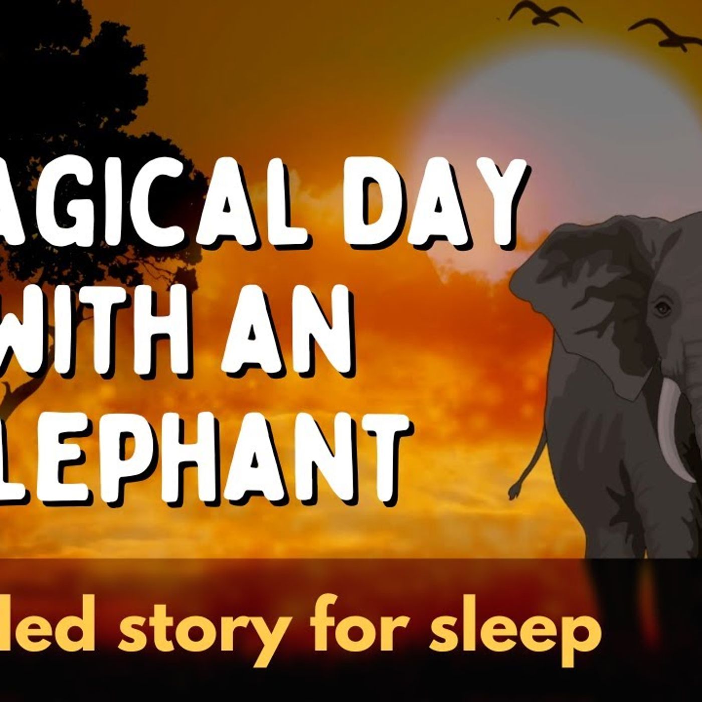A Sleepy Story to Fall Asleep Fast | A Magical Day with an Elephant