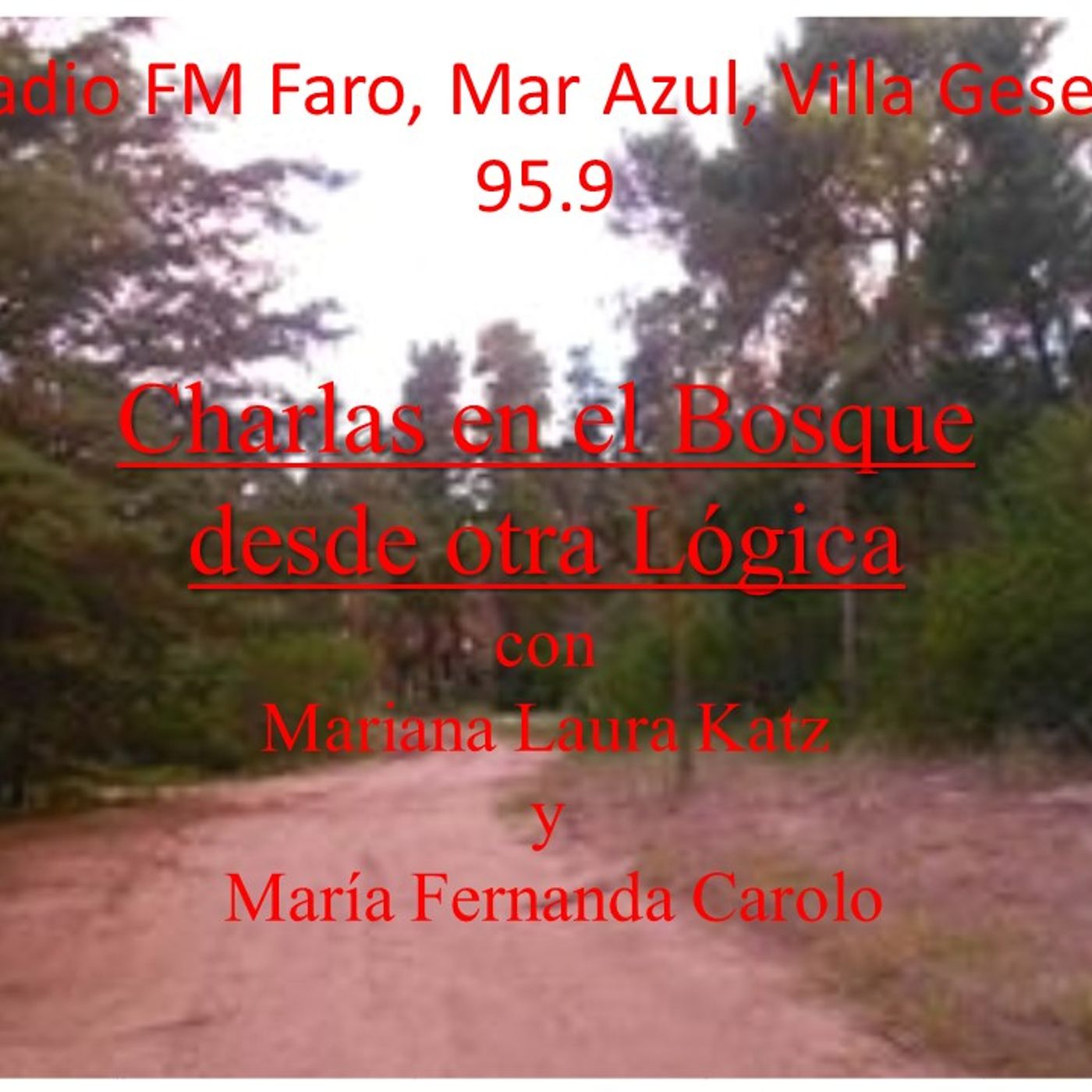 Charlas en el bosque desde otraa Logica Emision3