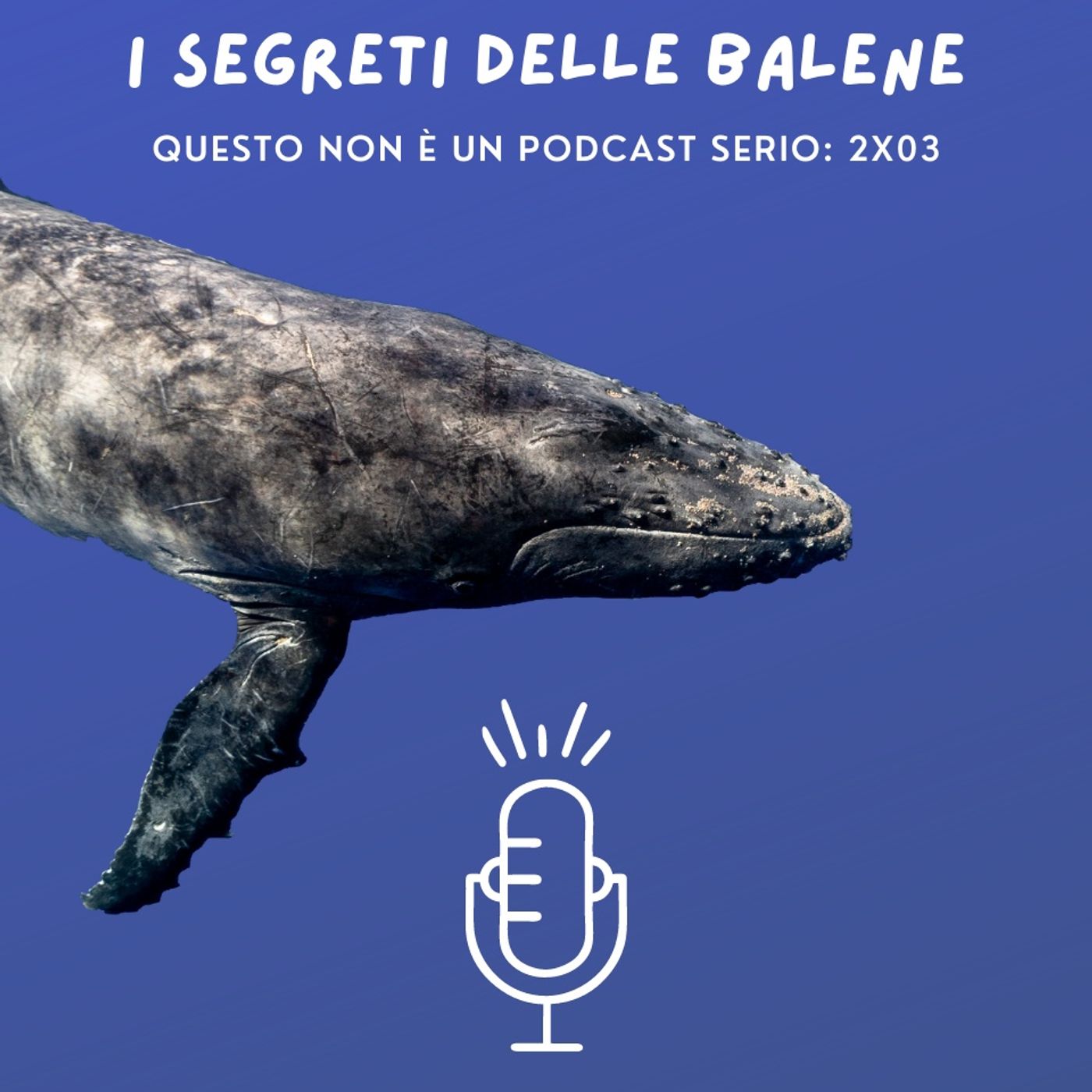 I segreti delle balene: 2x03 🐳
