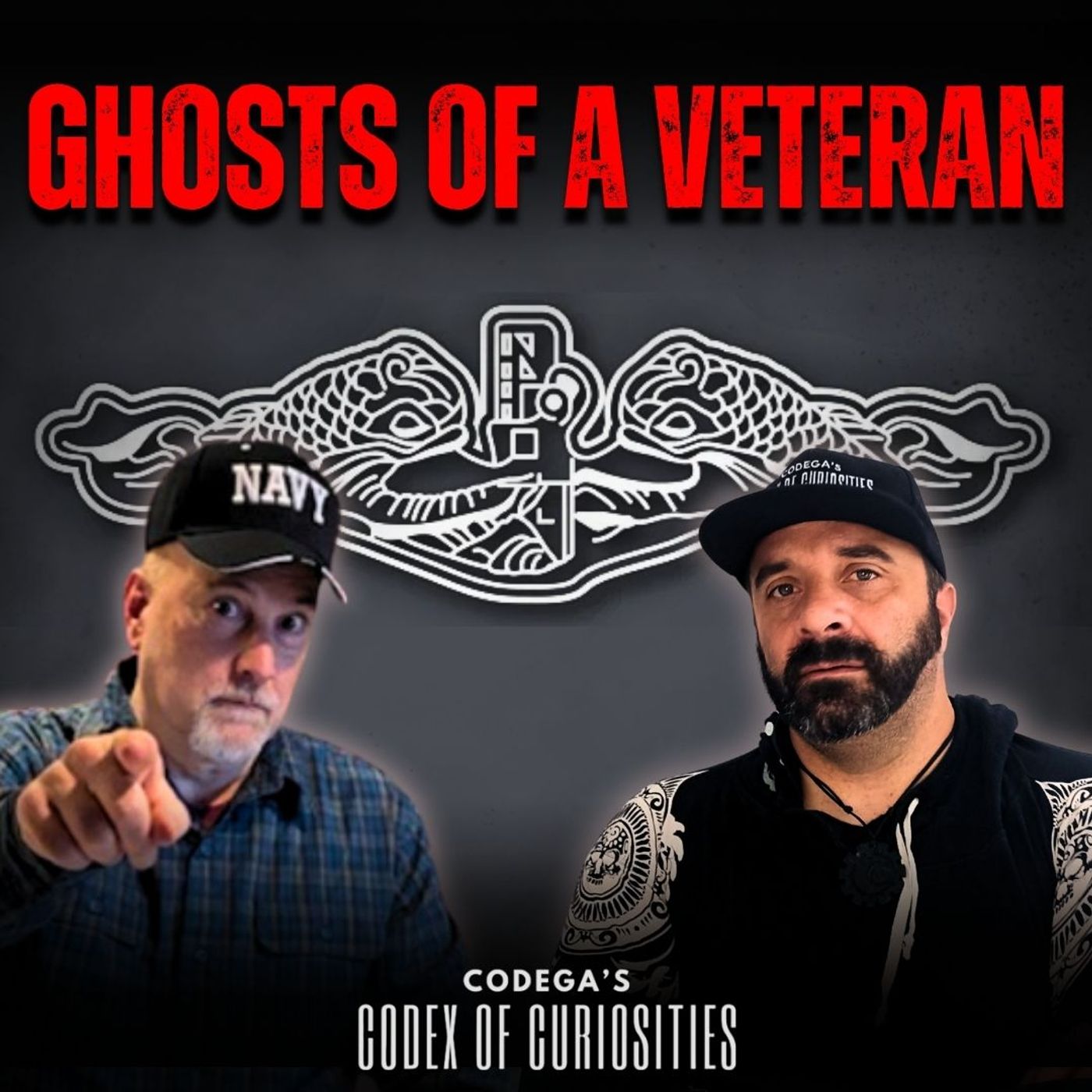 From Battlefields to Haunted Realms: Healing, Spirits & Veteran Truths with D. Paul Fleming From Battlefields to Haunted Realms: Healing, Spirits & Veteran Truths with D. Paul Fleming