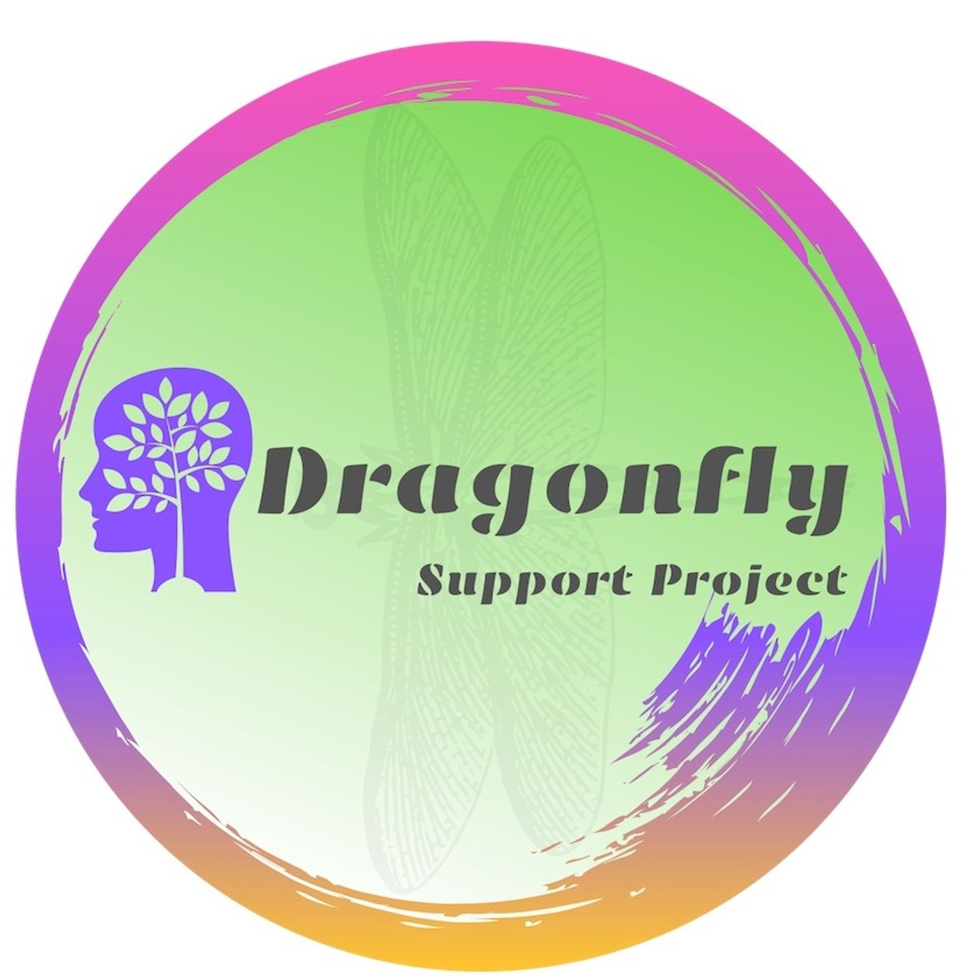 Dragonfly student & parent support