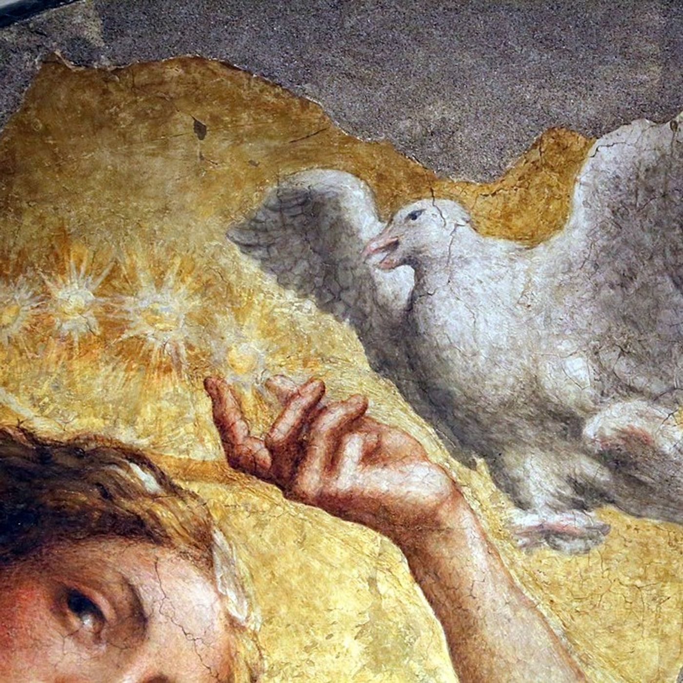 Sete di Parola - Omelia della Domenica - Anno B  2020/2021