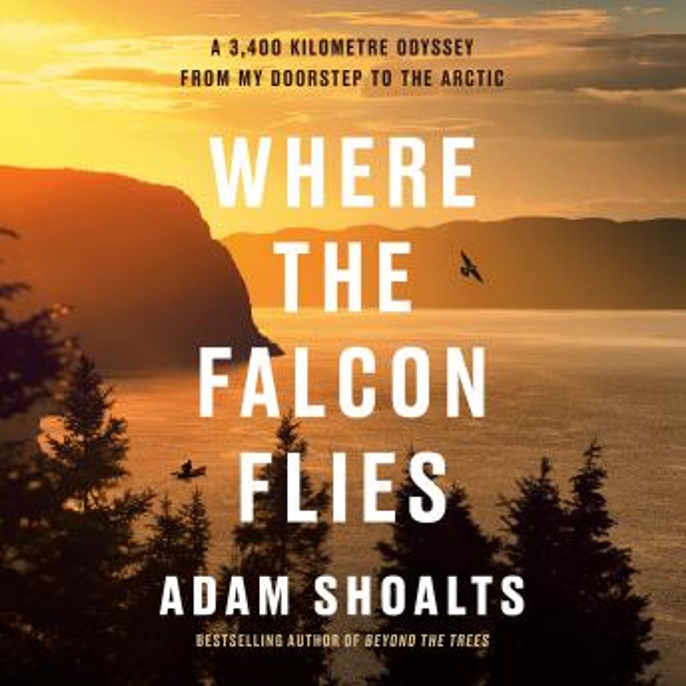Full Trial Audiobooks in Biography & Memoir, History & Culture