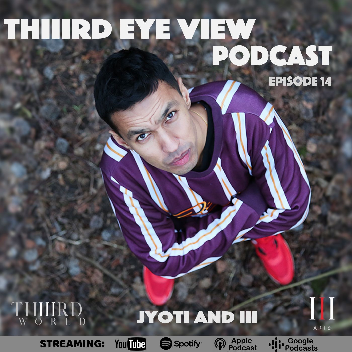 Thiiird Eye View