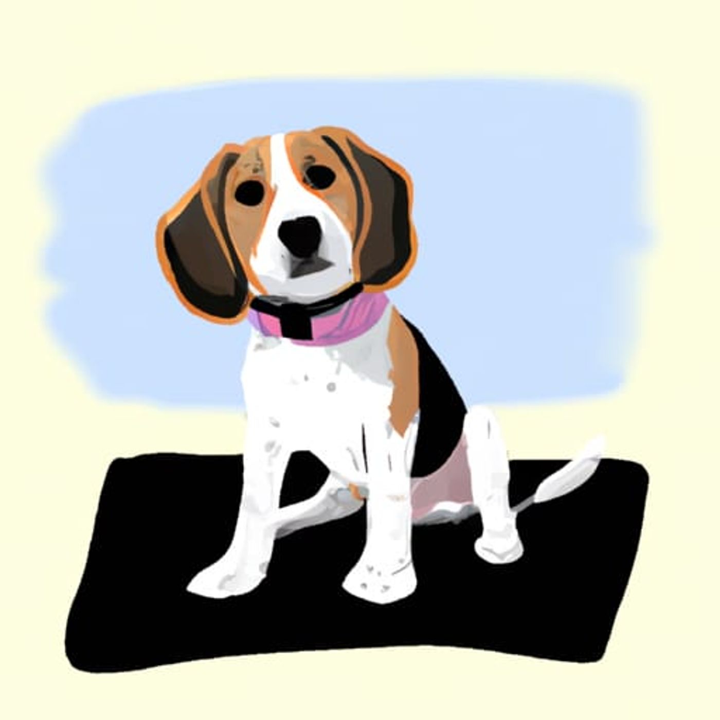 Benny's eerste dag op puppycursus | Verhalen over Honden episode artwork