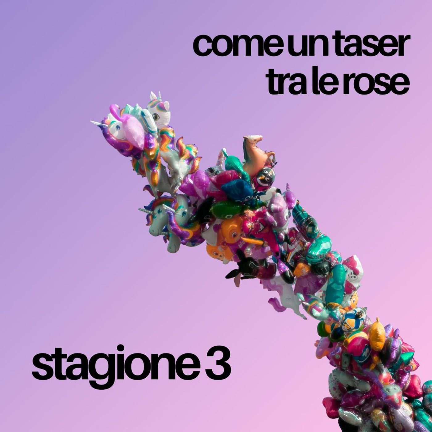 Come un taser tra le rose