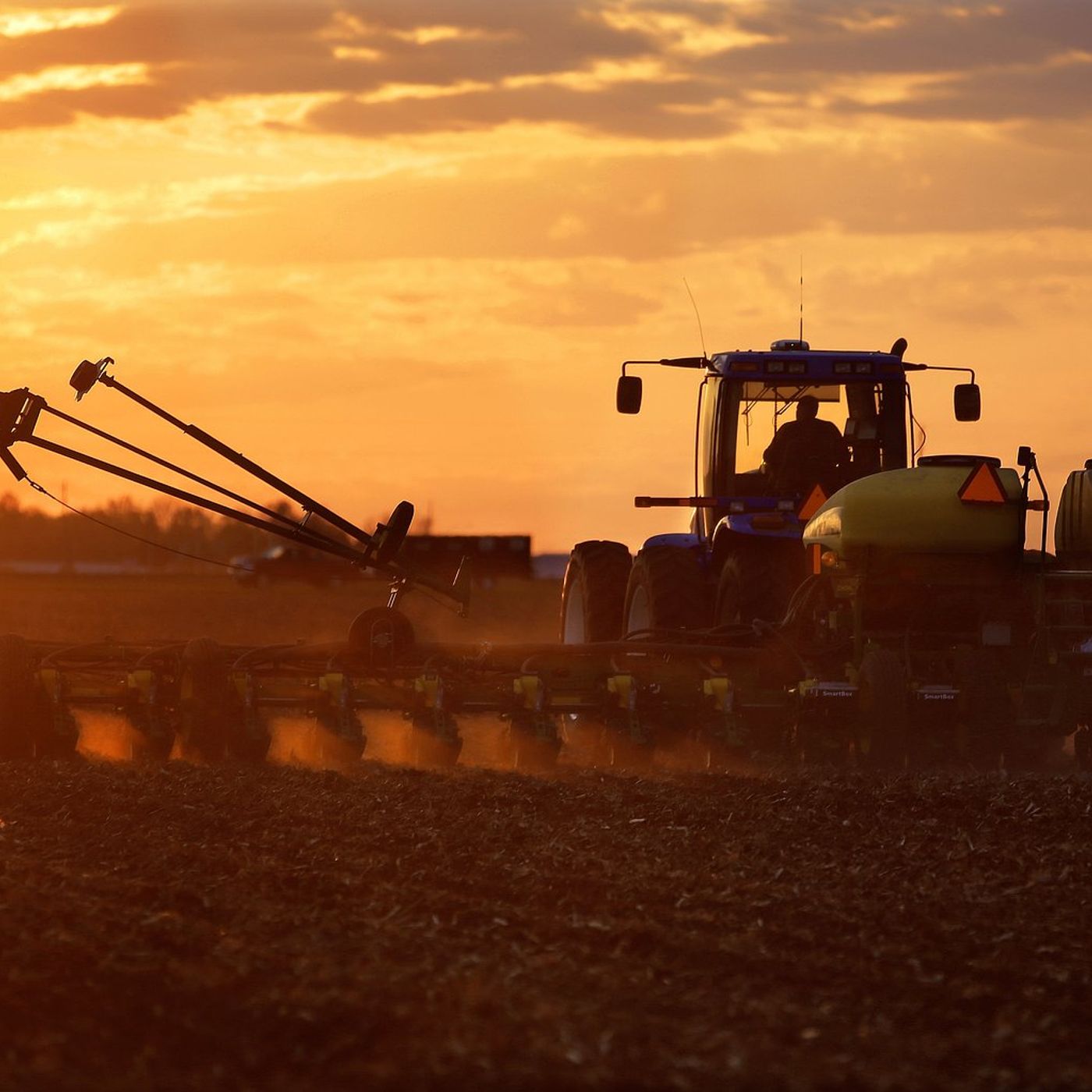 Swing to more soybeans in USDA crop predicted episode artwork