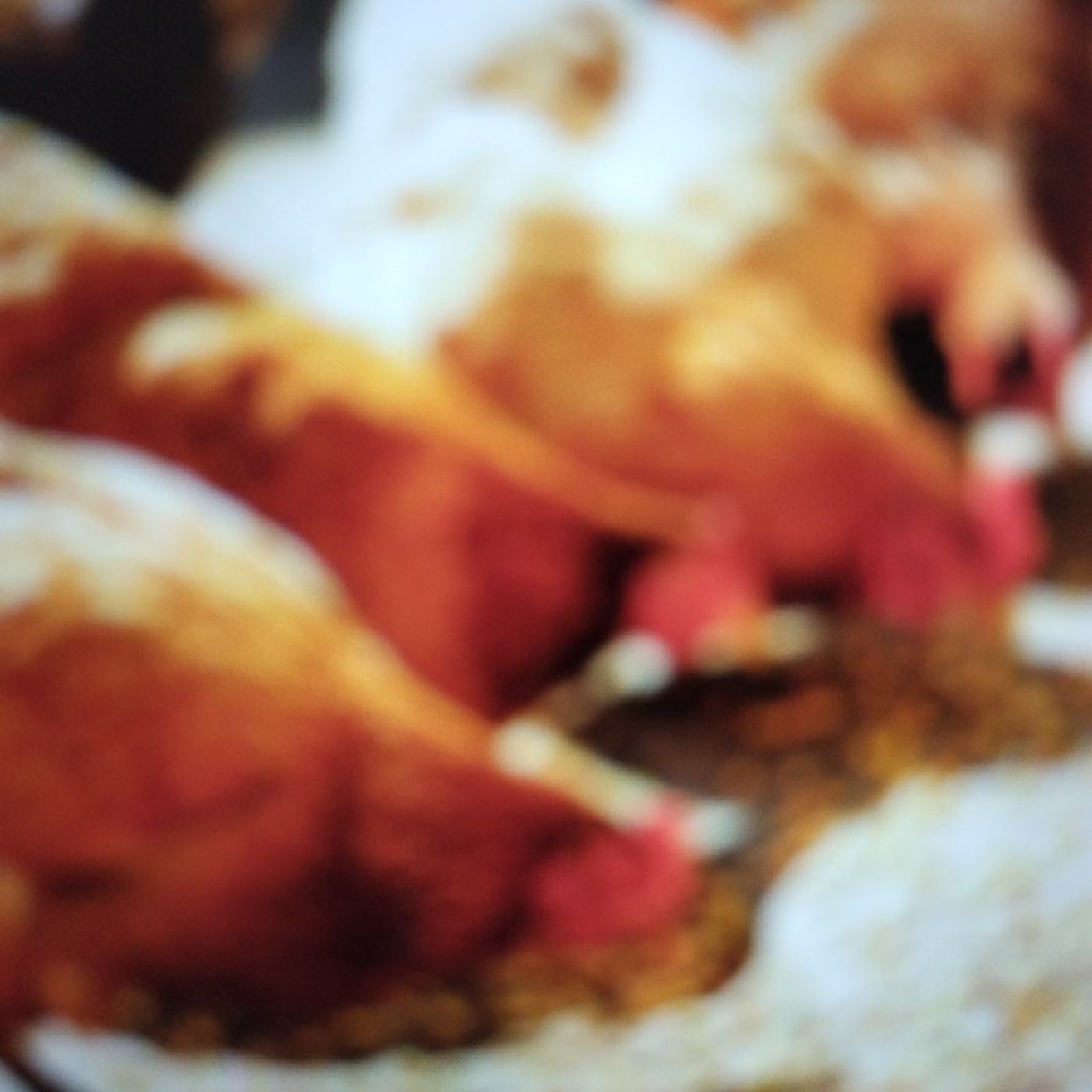 Alimentação Alternativa de Aves episode artwork