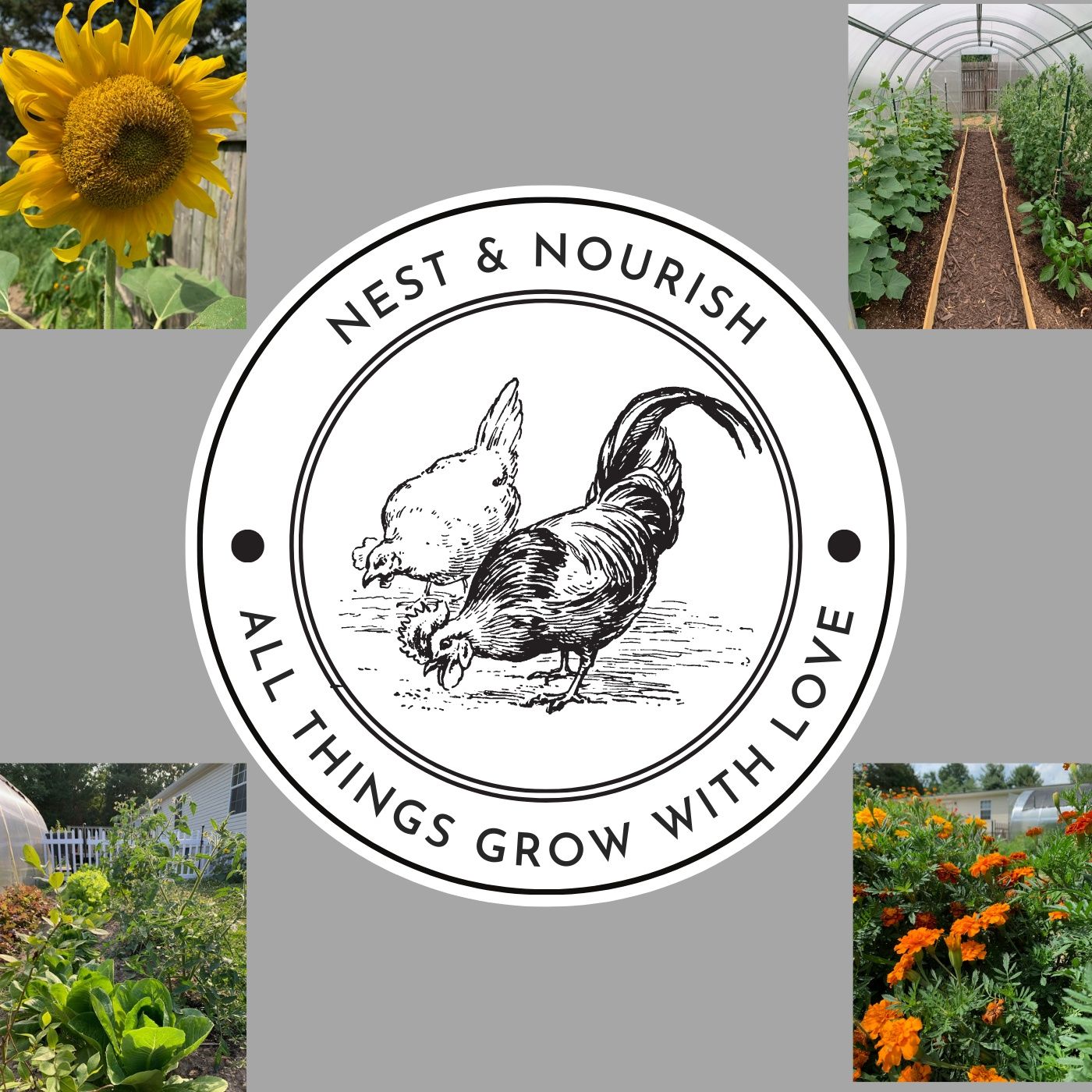 Nest & Nourish