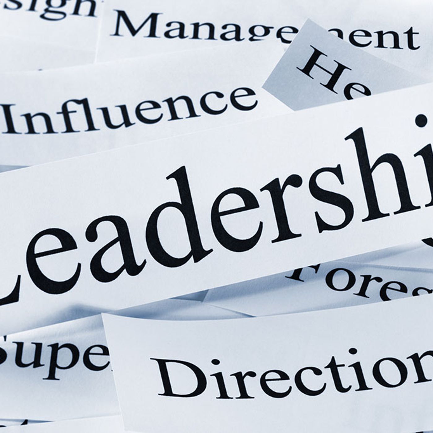 Al via D20leader | Tutto su Selfiemployment | Il segreto delle aziende che ... volano