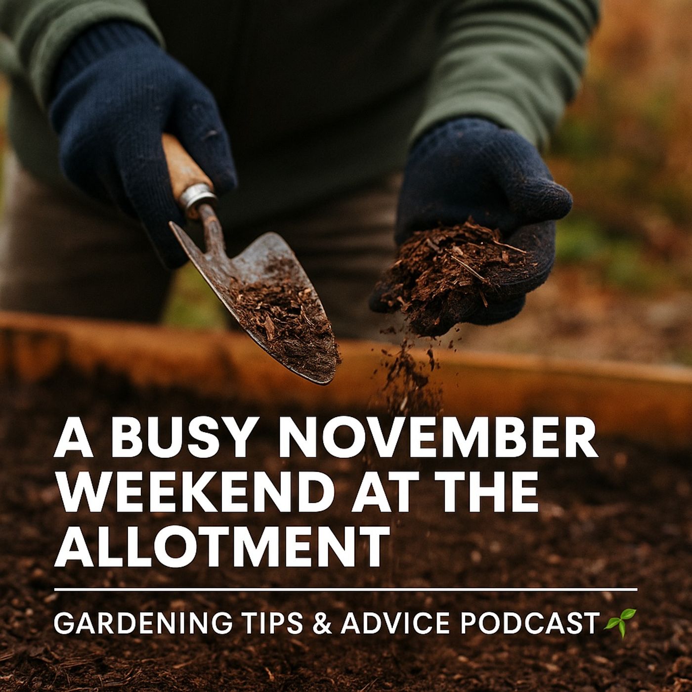 🎧 🌱 A Busy November Weekend at the Allotment | Gardening Tips & Advice Podcast 🌱 episode artwork