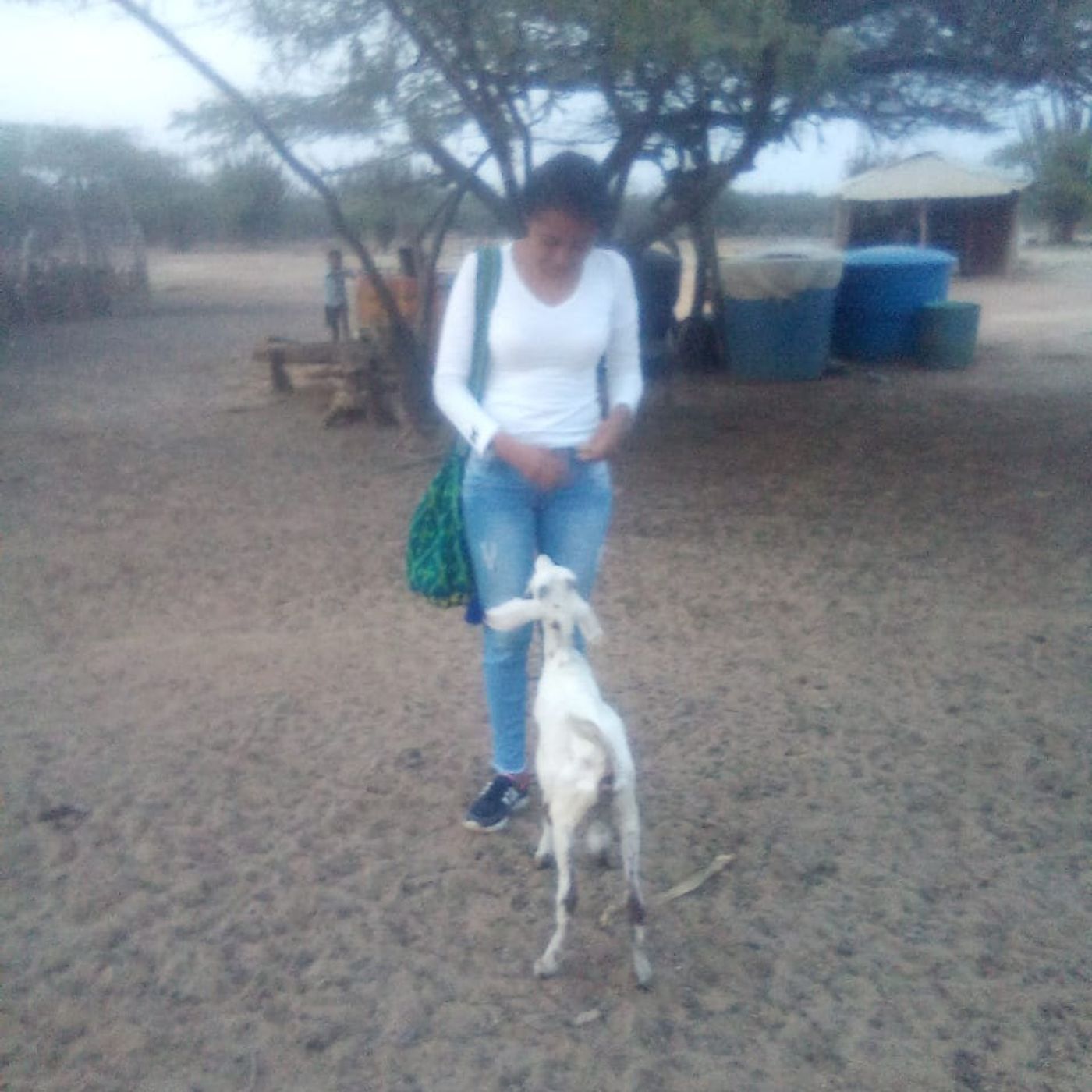Juya: La carencia del pueblo wayuu