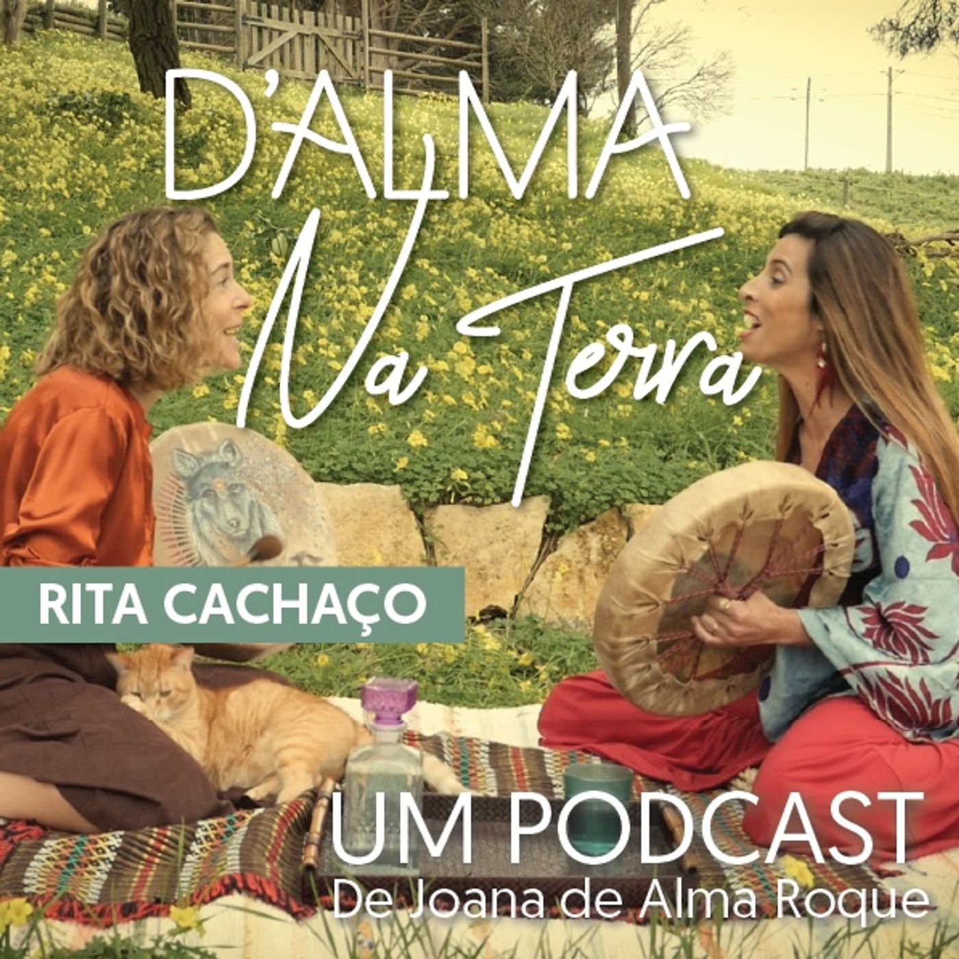 D\'Alma na Terra