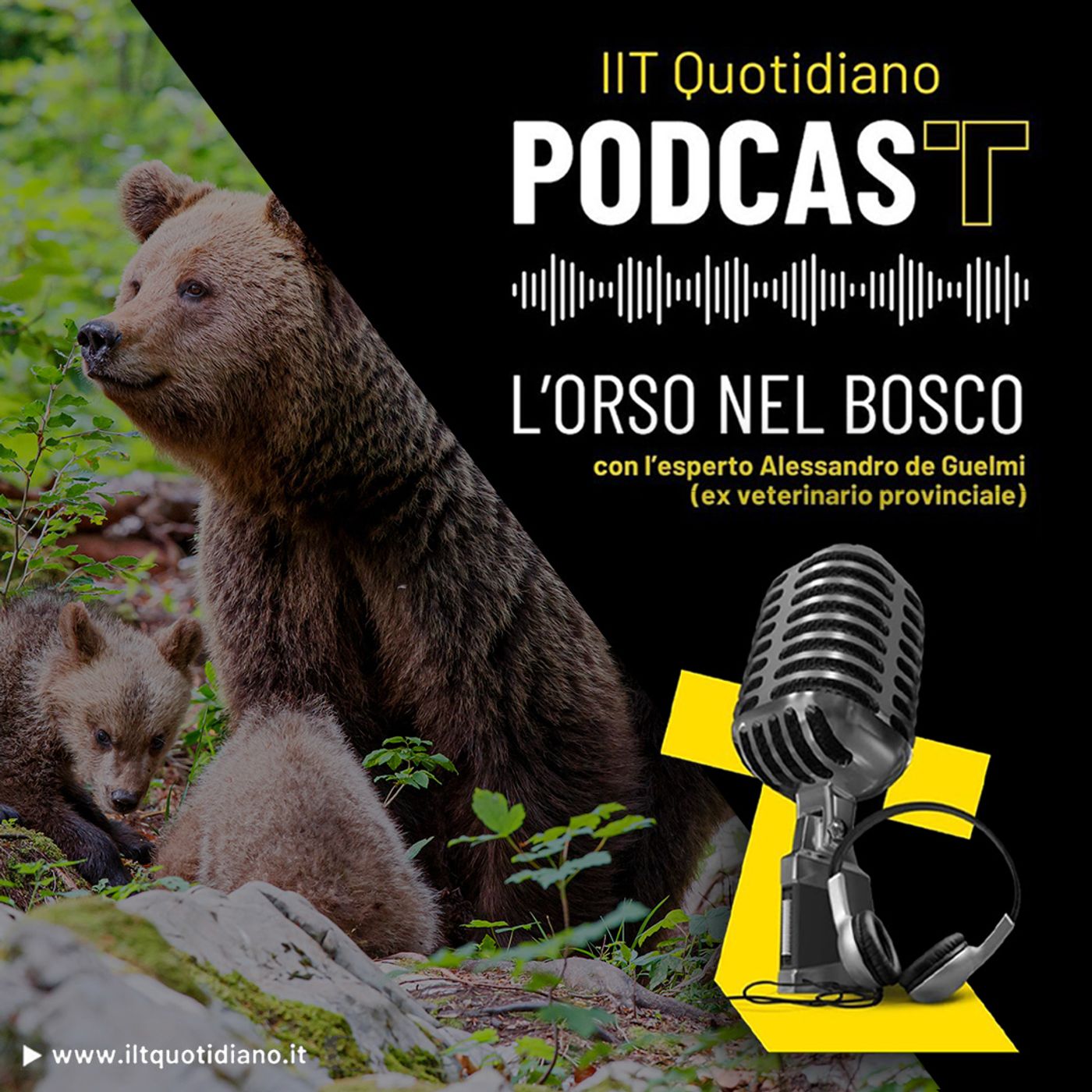 L’orso nel bosco podcast artwork