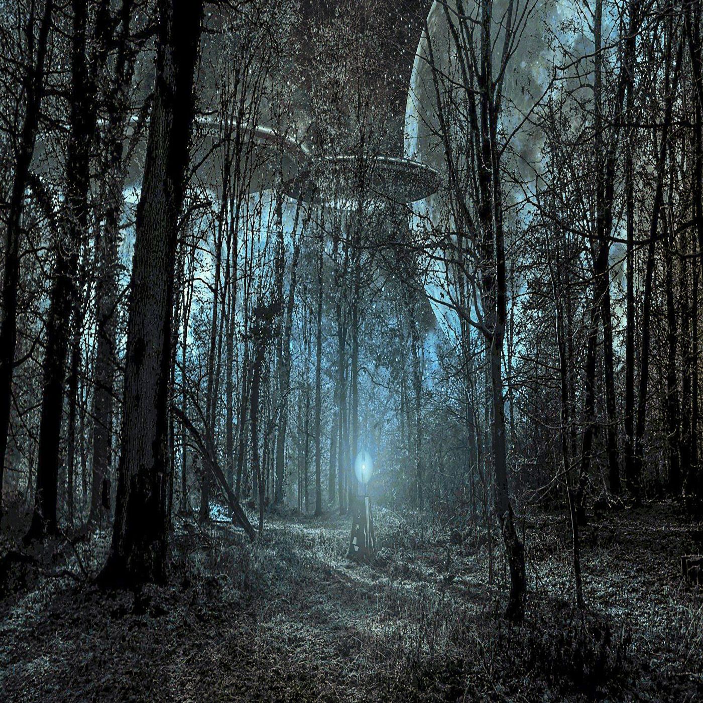 Among Us - Racconti Horror episode artwork