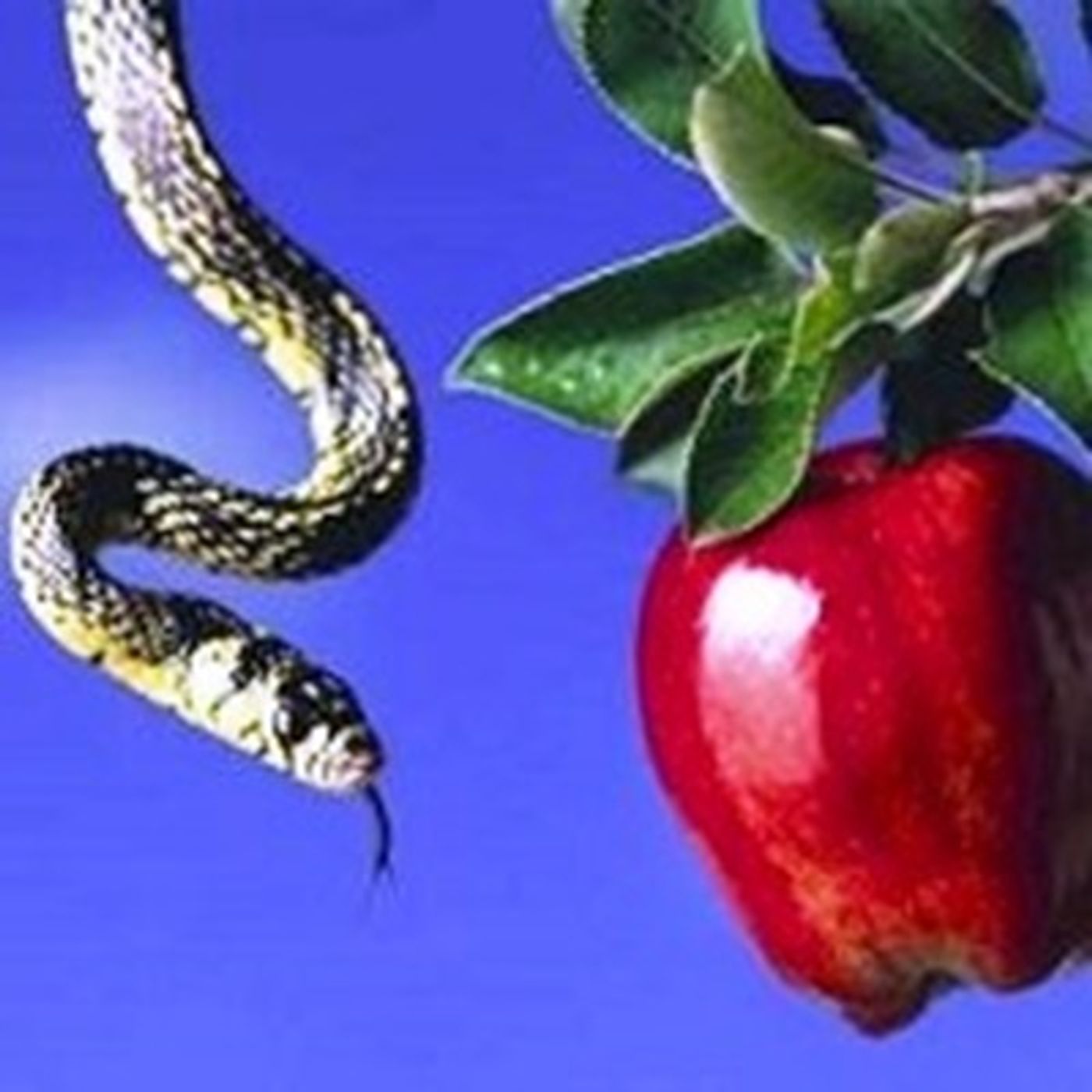 I peccati che portano piu all'inferno sono quelli contro la purezza