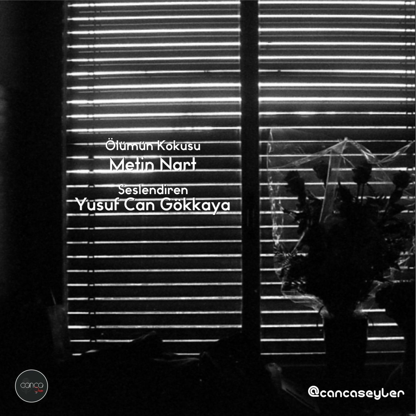 Öykü | Metin Nart - Ölümün Kokusu #seslioyku
