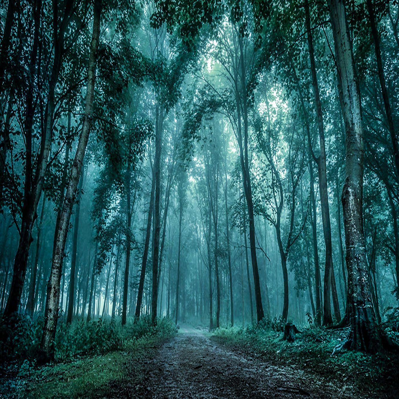 Il bosco dei sussurri - Racconti Horror episode artwork