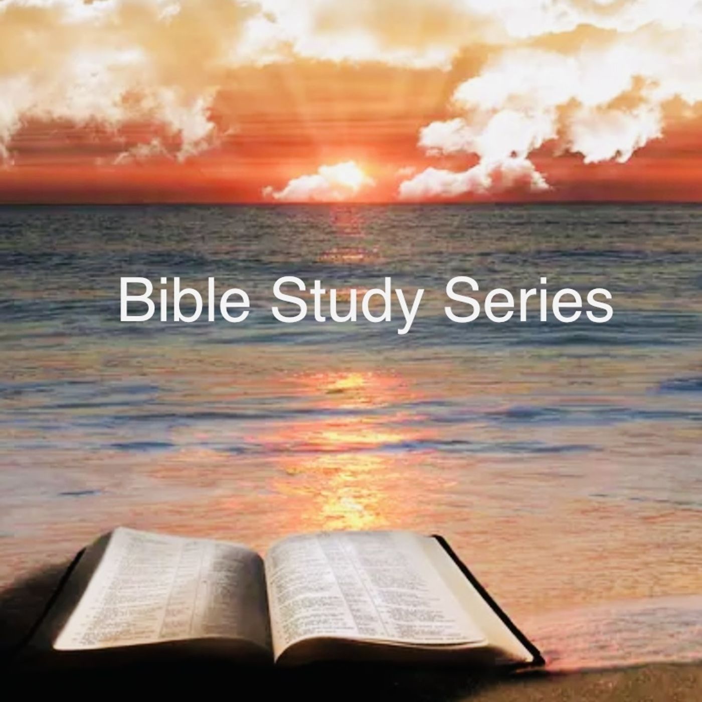 The Bible Study Series's Podcast