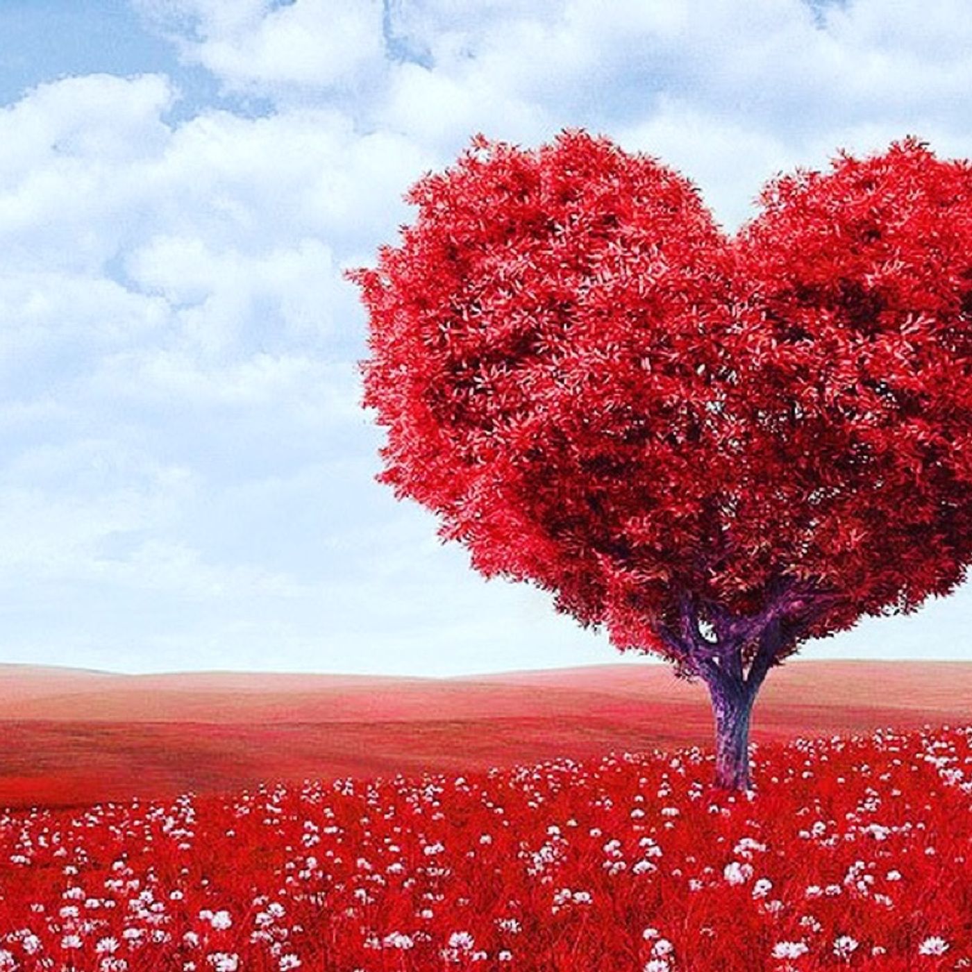 Series on Love: Different Types of Love episode artwork