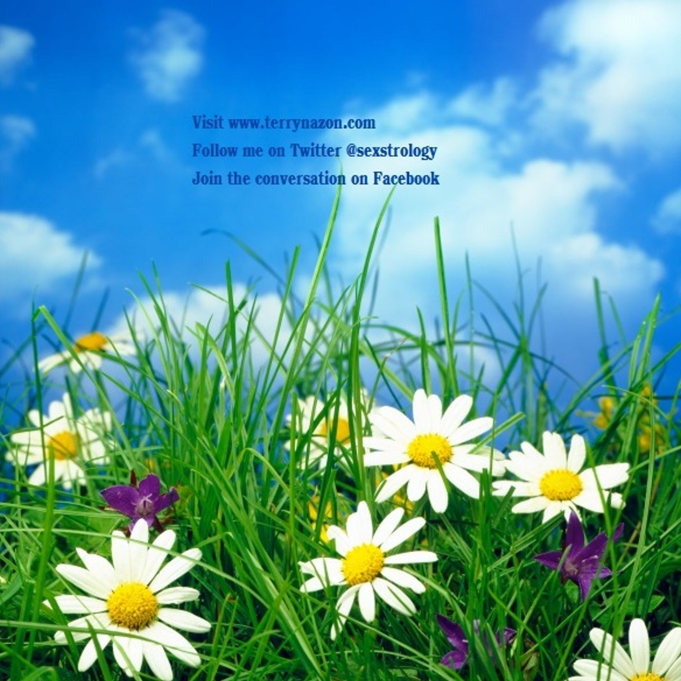 Leo Daily Horoscope Tuesday April 15 episode artwork
