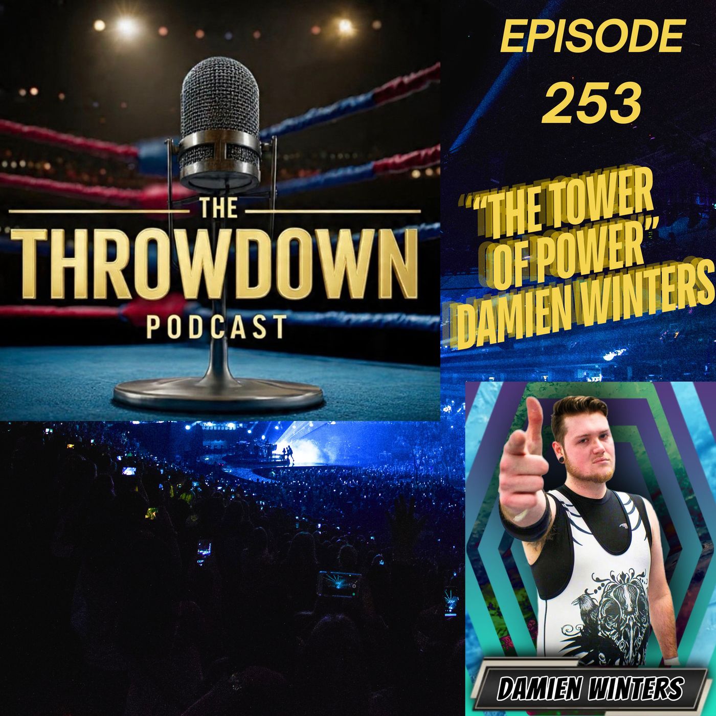 The Throwdown Episode 253: Damien Winters episode artwork